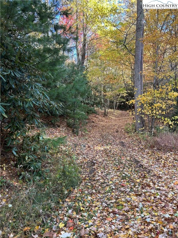 Image number 19 for the current listing
