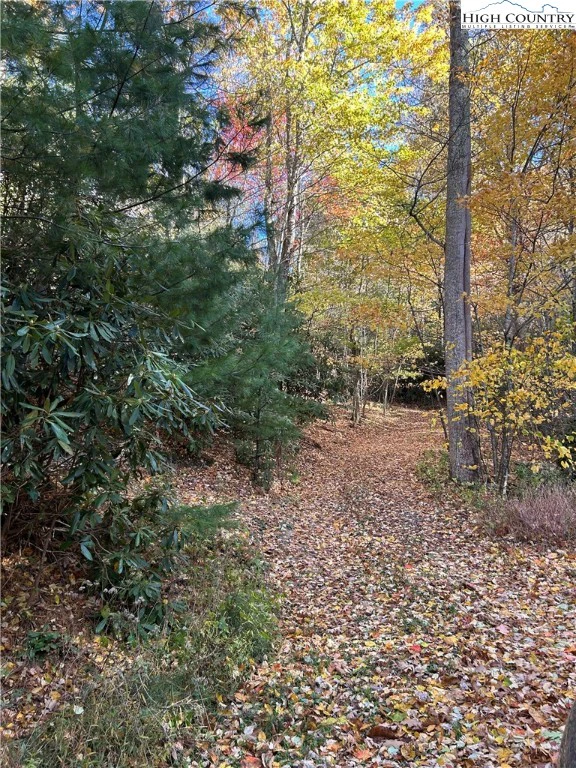 Image number 18 for the current listing