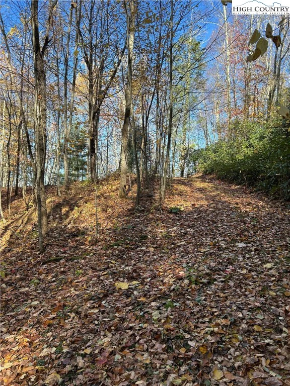 Image number 17 for the current listing