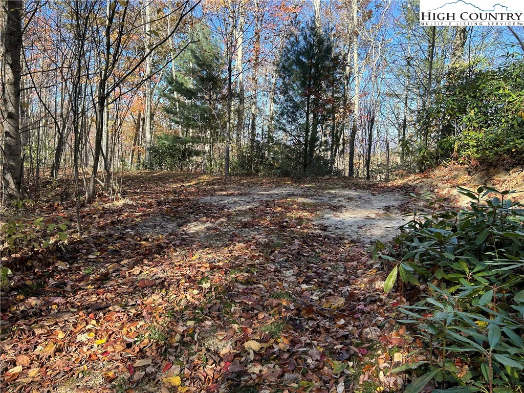 Image number 14 for the current listing