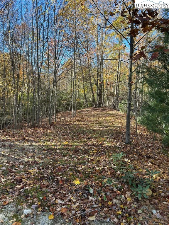 Image number 2 for the current listing