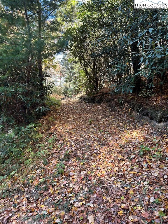 Image number 12 for the current listing