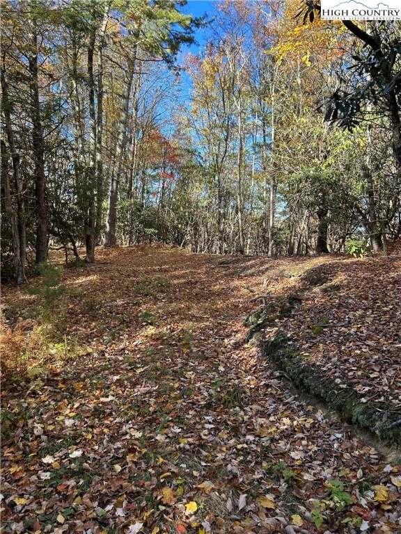 Image number 11 for the current listing