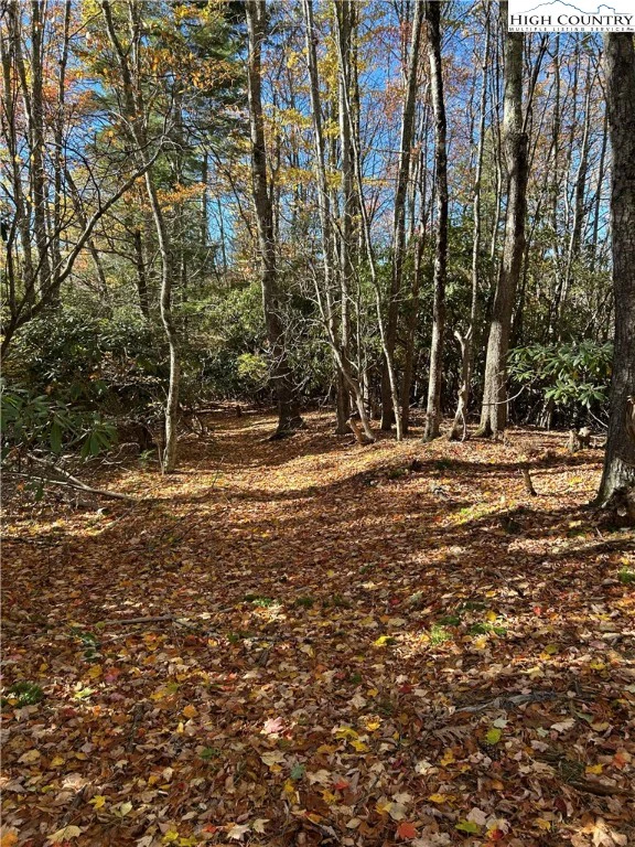 Image number 9 for the current listing