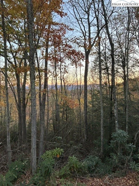 Image number 8 for the current listing
