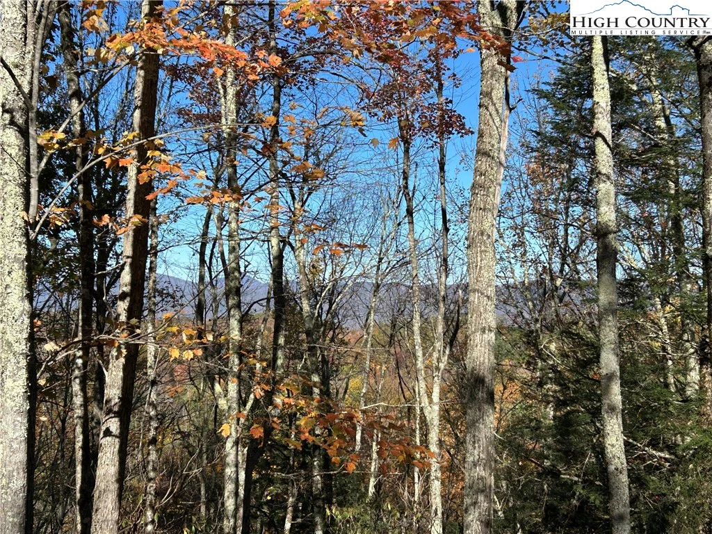 Image number 7 for the current listing