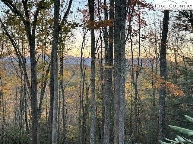 Image number 5 for the current listing