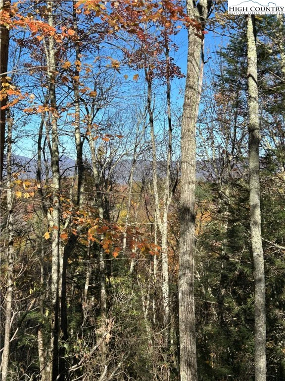 Image number 4 for the current listing