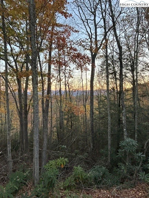 Image number 3 for the current listing