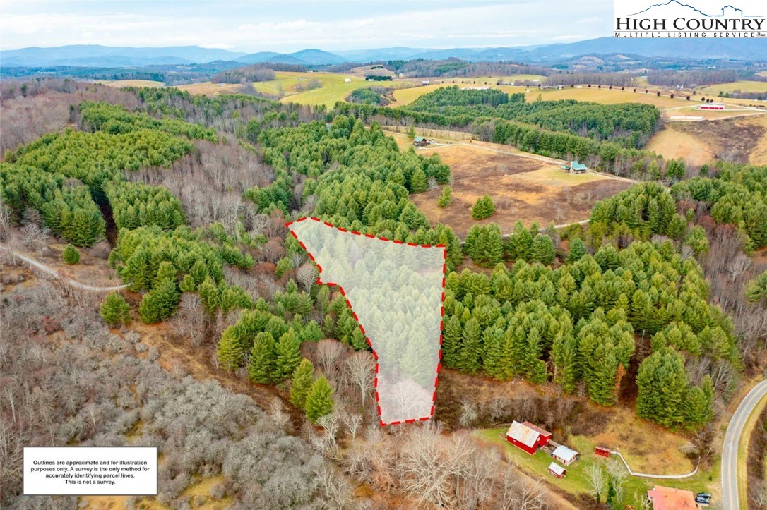 Image number 4 for the current listing