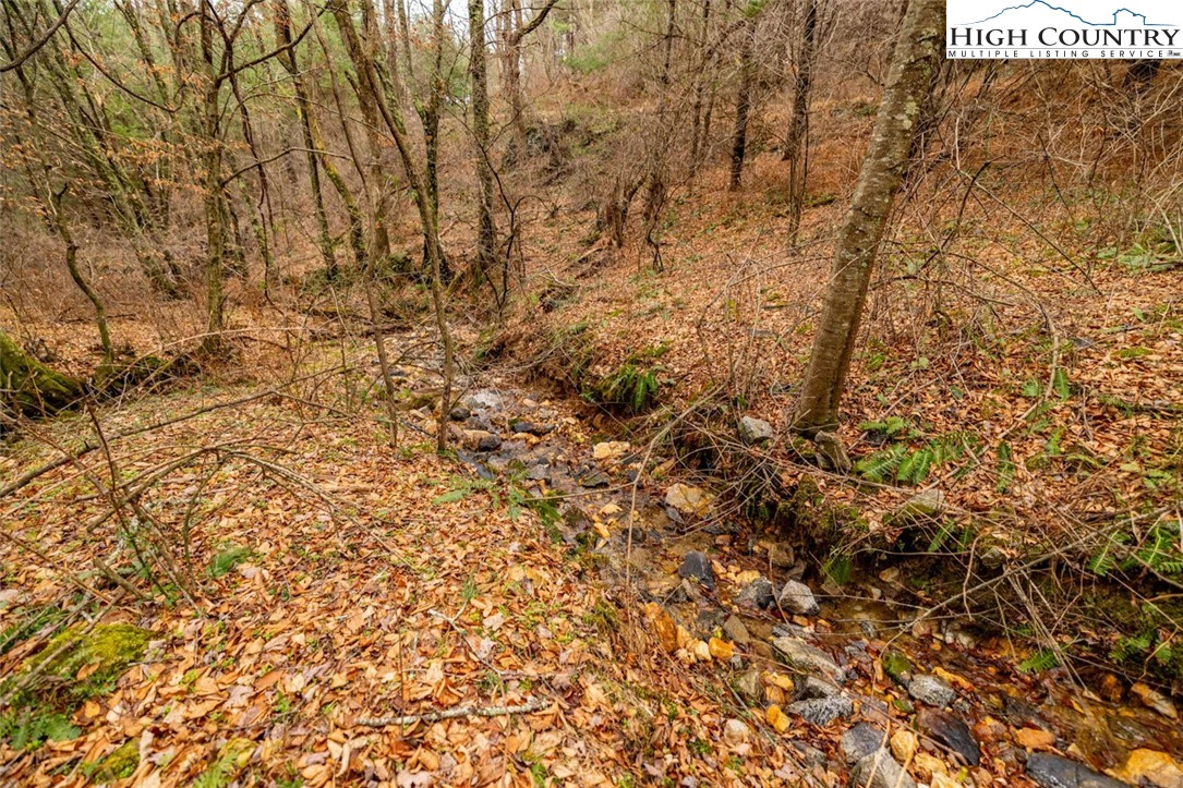 Image number 3 for the current listing