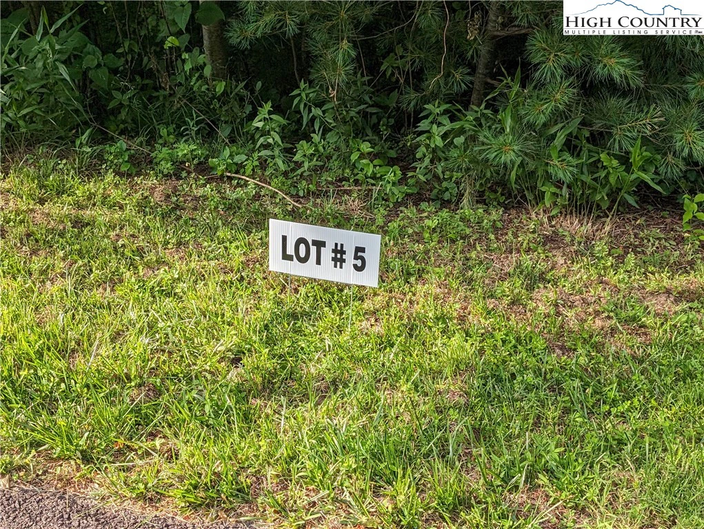Image number 1 for the current listing