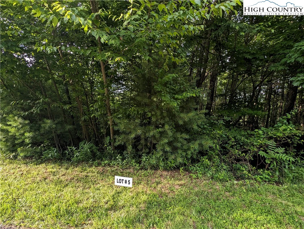 Image number 4 for the current listing