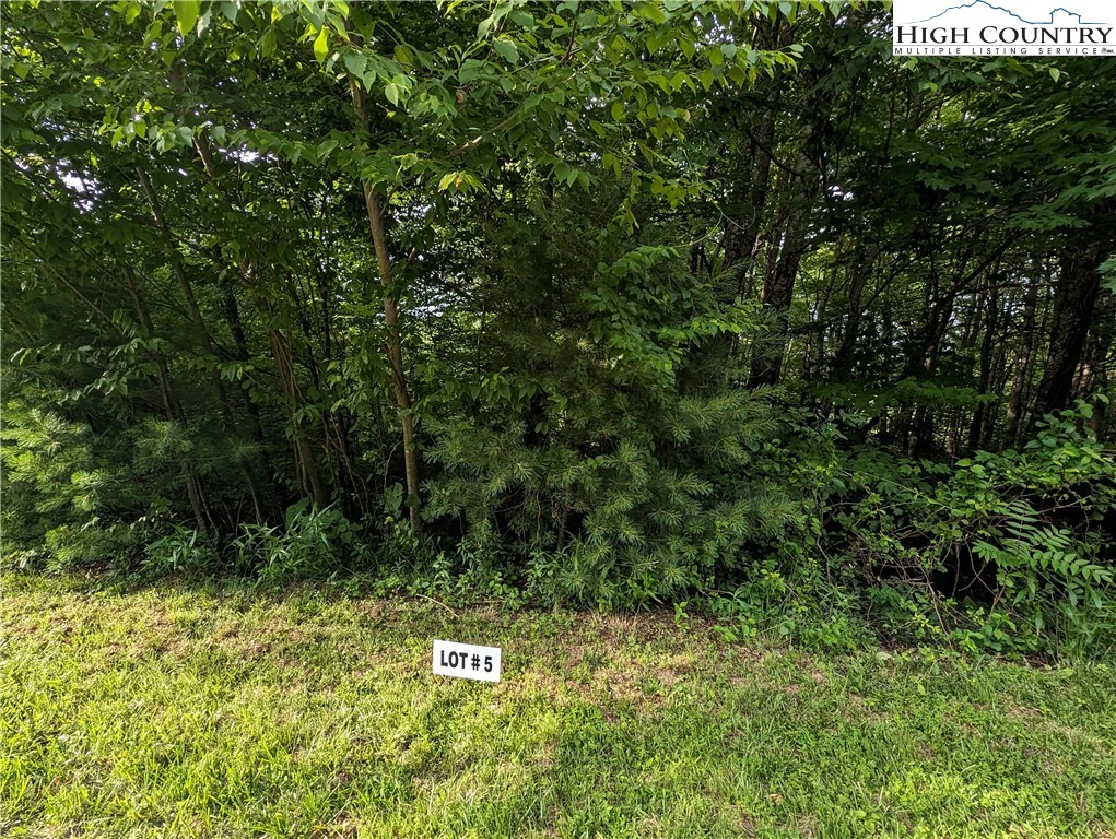 Image number 5 for the current listing