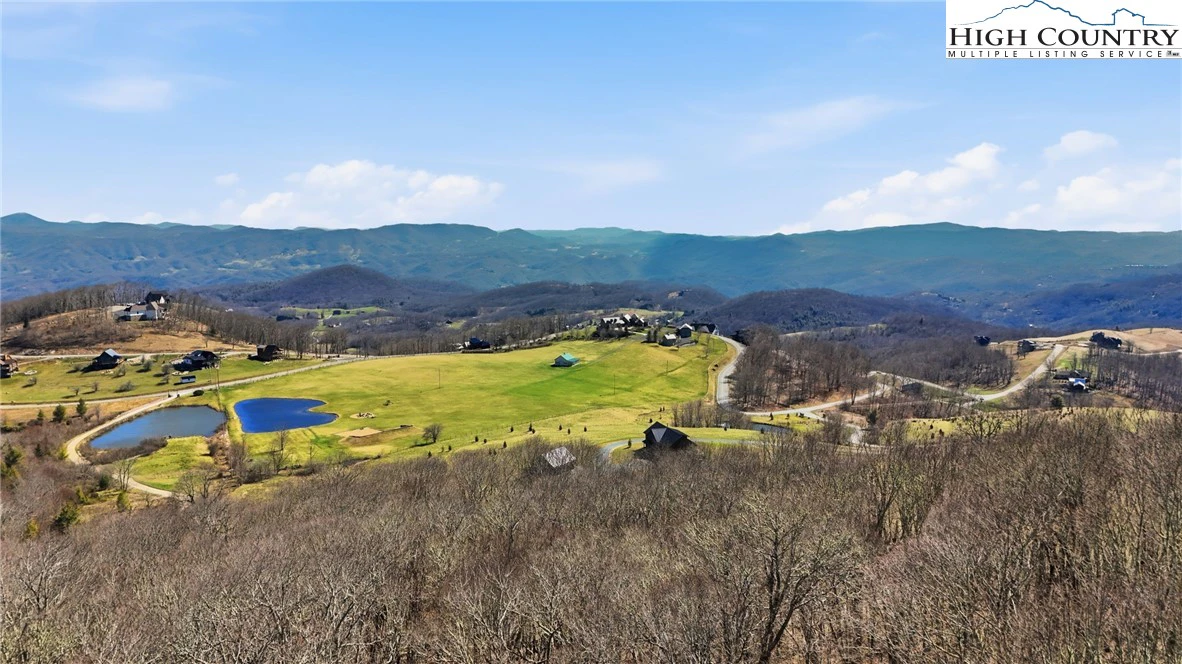 Image number 2 for the current listing