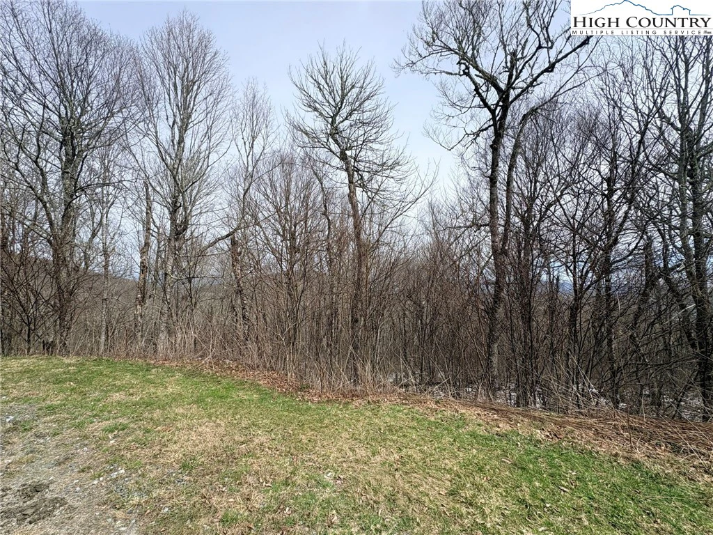 Image number 3 for the current listing