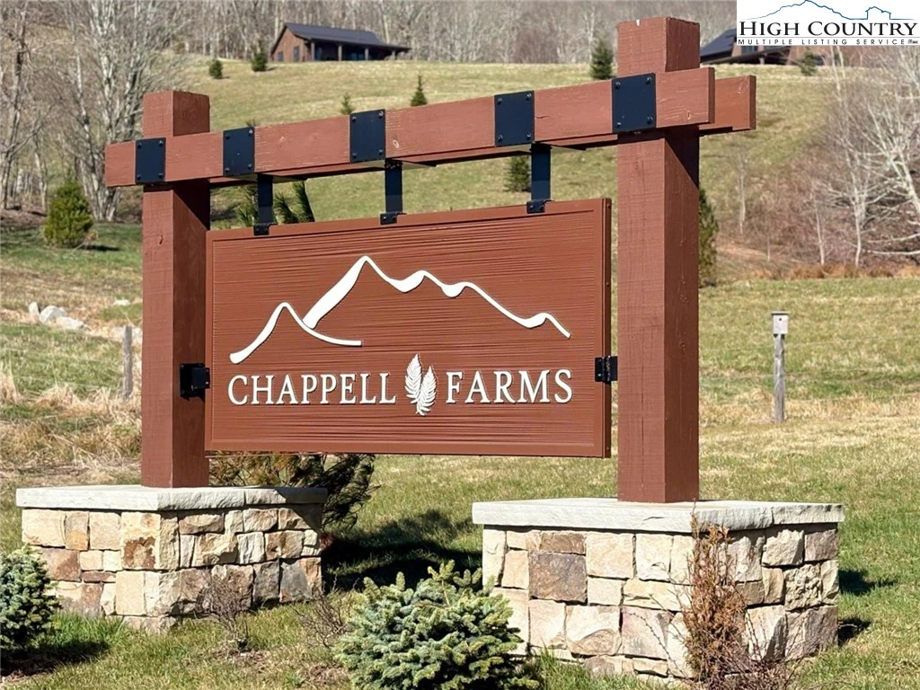 Image number 1 for the current listing