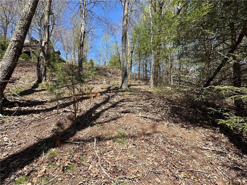 Image number 15 for the current listing