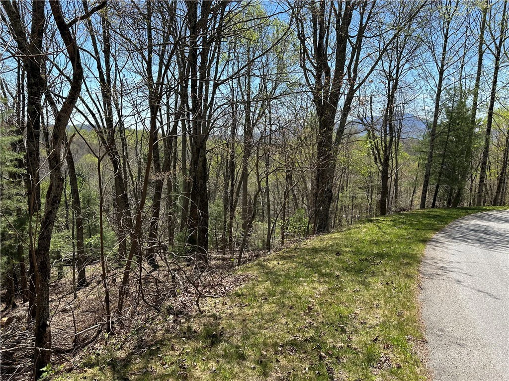 Image number 11 for the current listing