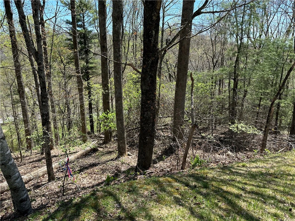 Image number 7 for the current listing
