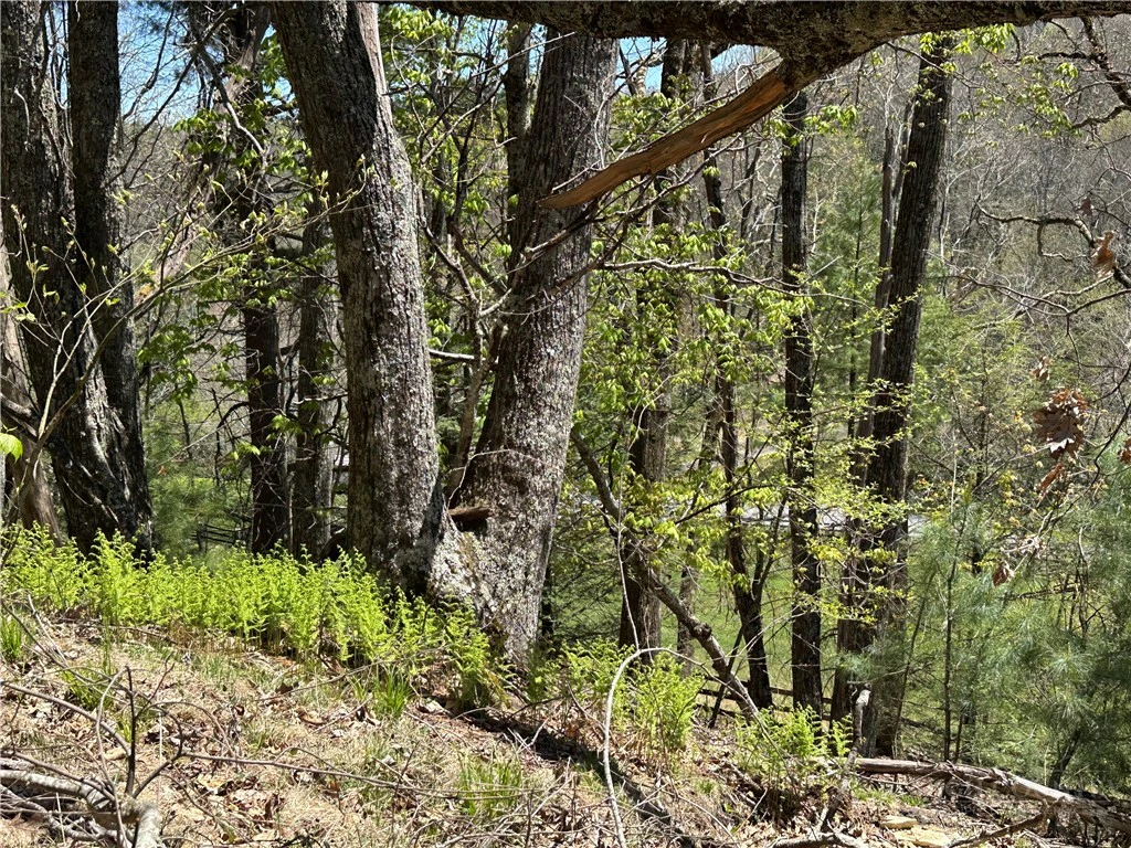 Image number 10 for the current listing
