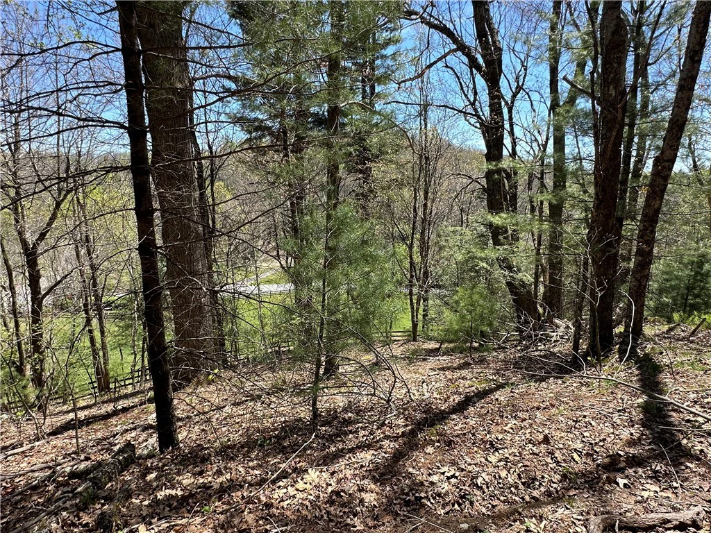 Image number 2 for the current listing