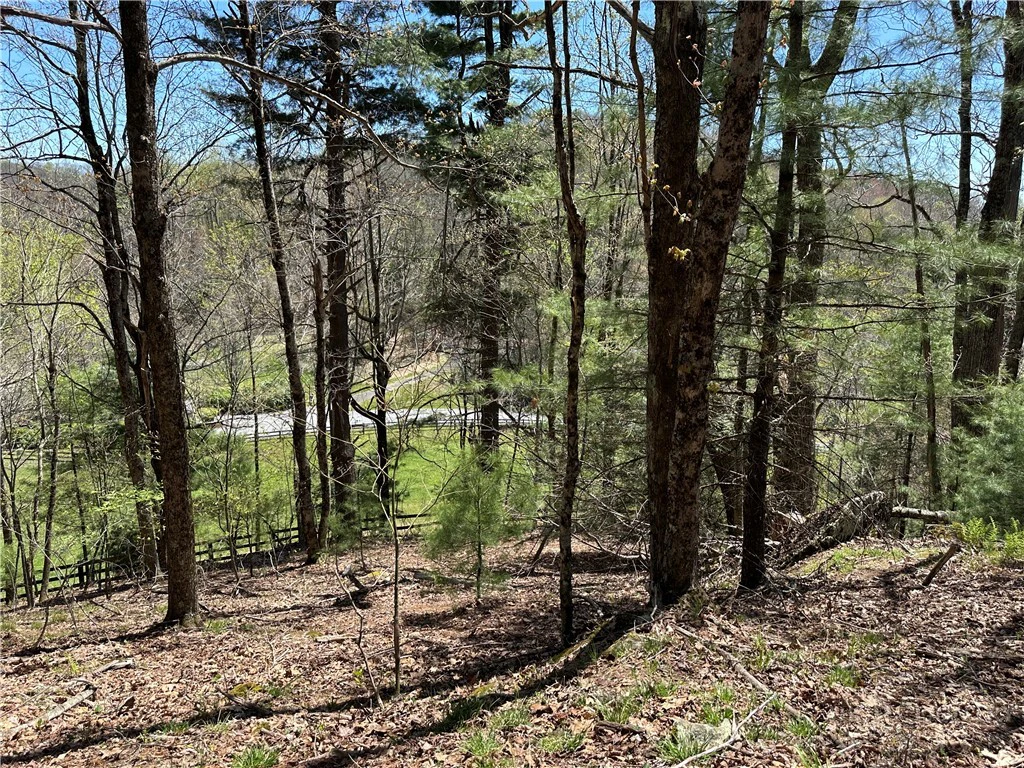 Image number 12 for the current listing