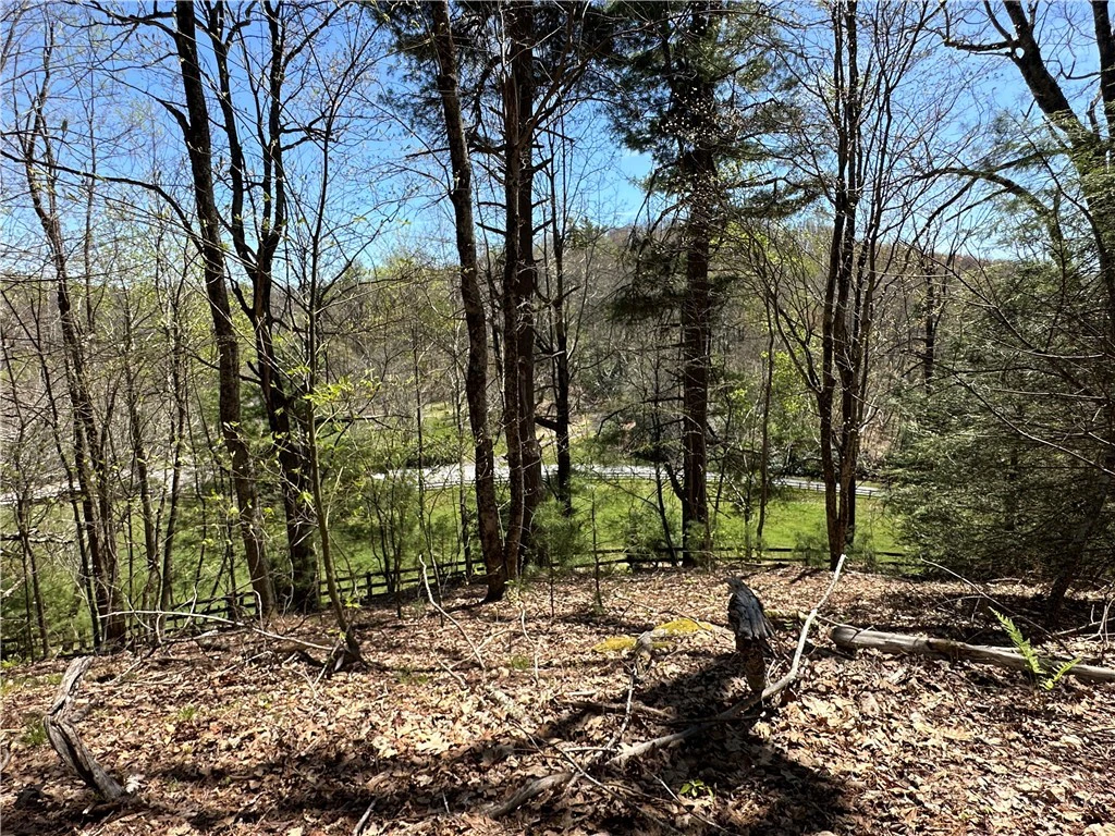Image number 13 for the current listing
