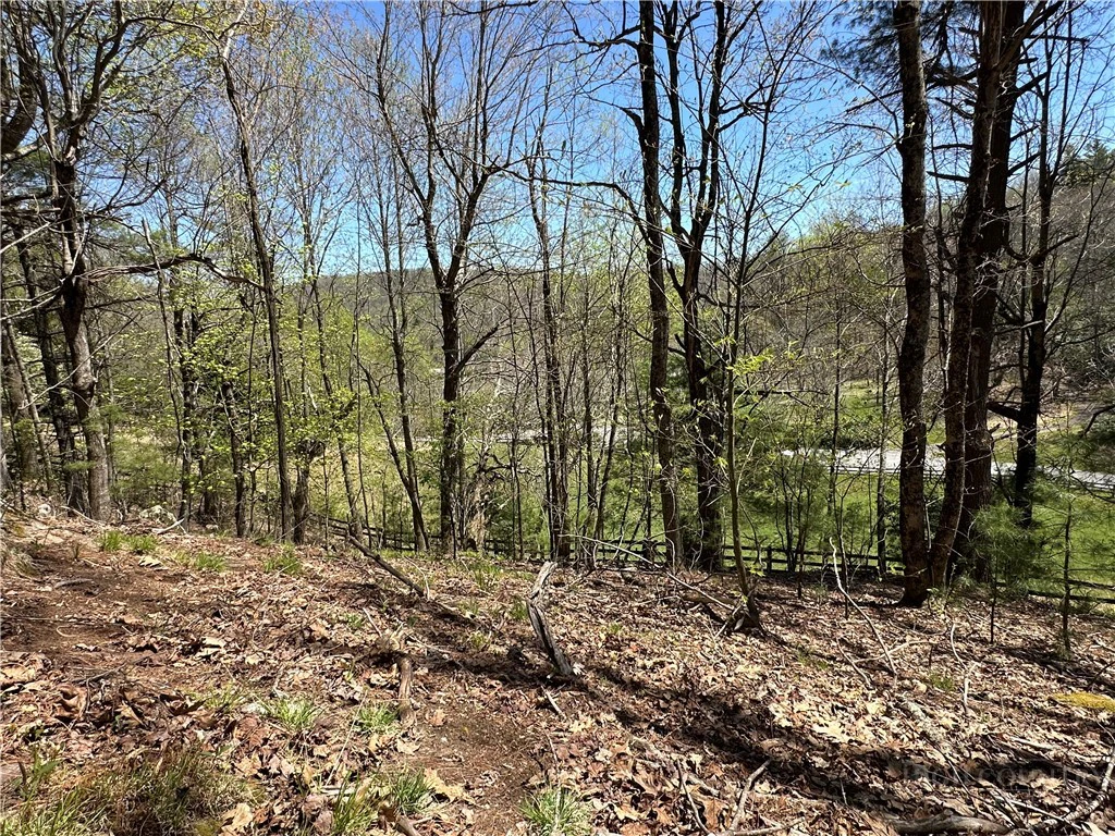 Image number 14 for the current listing