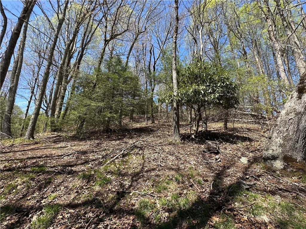 Image number 5 for the current listing