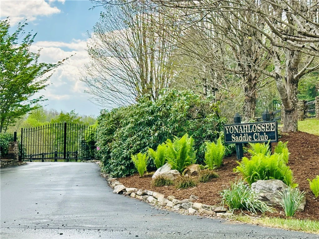 Image number 20 for the current listing