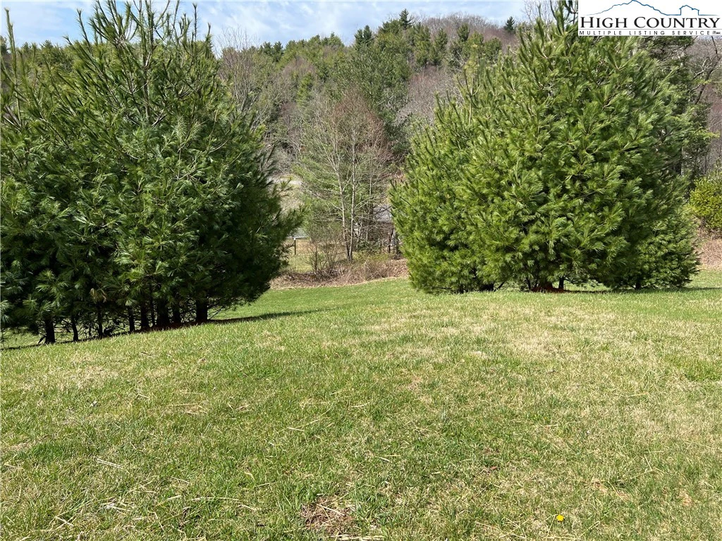 Image number 3 for the current listing