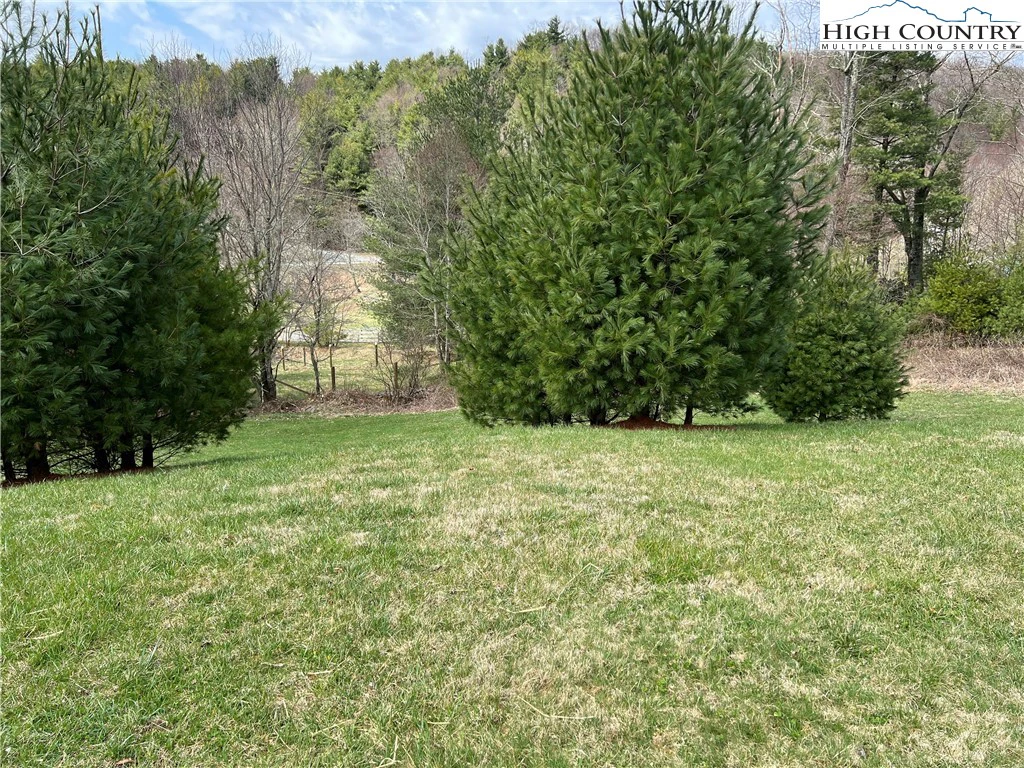 Image number 4 for the current listing