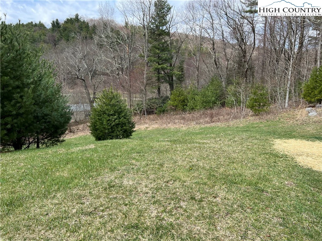 Image number 5 for the current listing