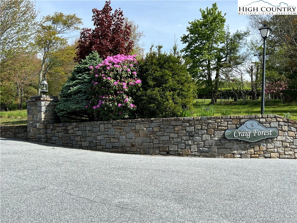 Image number 6 for the current listing