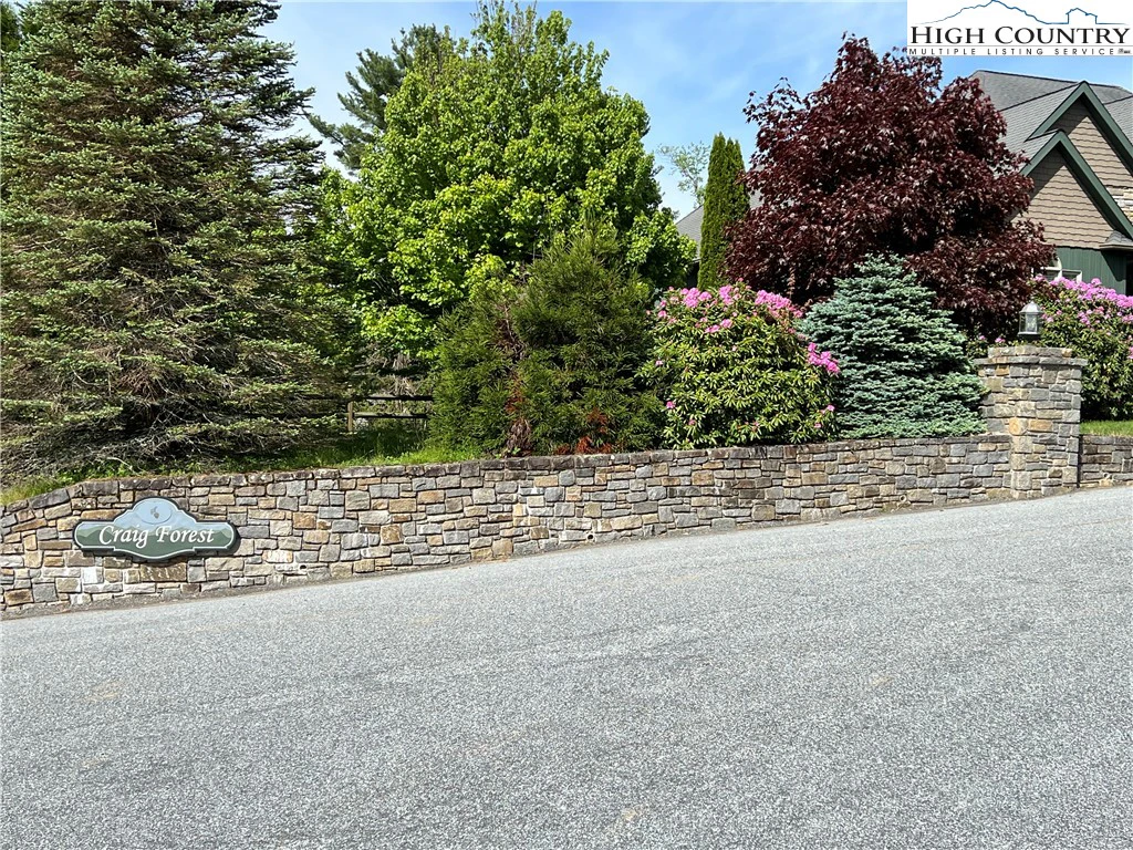 Image number 7 for the current listing