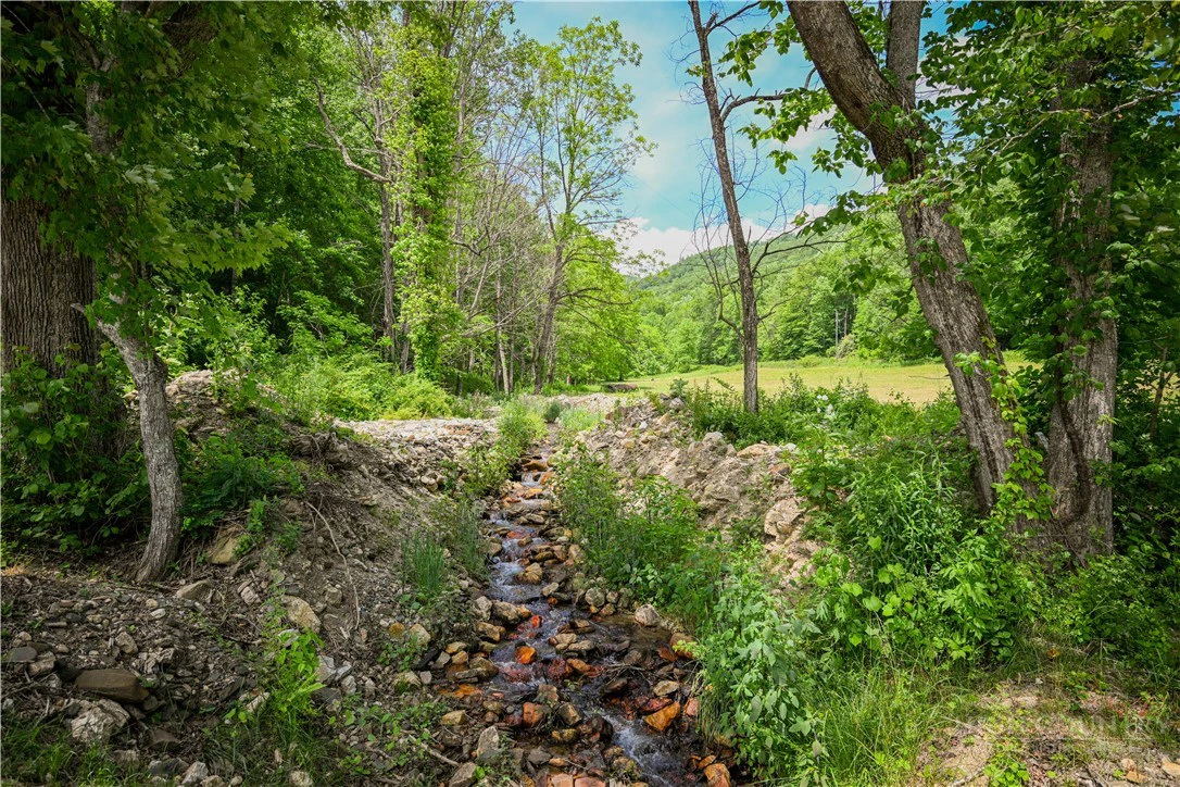 Image number 2 for the current listing