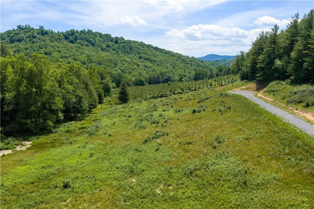 Image number 3 for the current listing