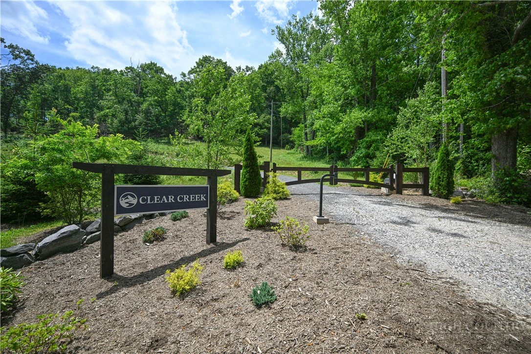 Image number 7 for the current listing