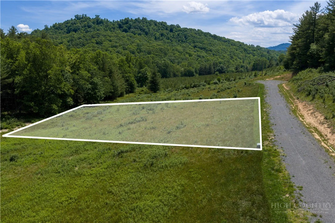 Image number 11 for the current listing