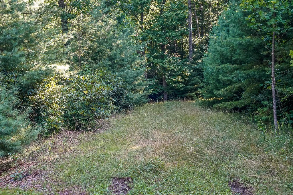 Image number 4 for the current listing