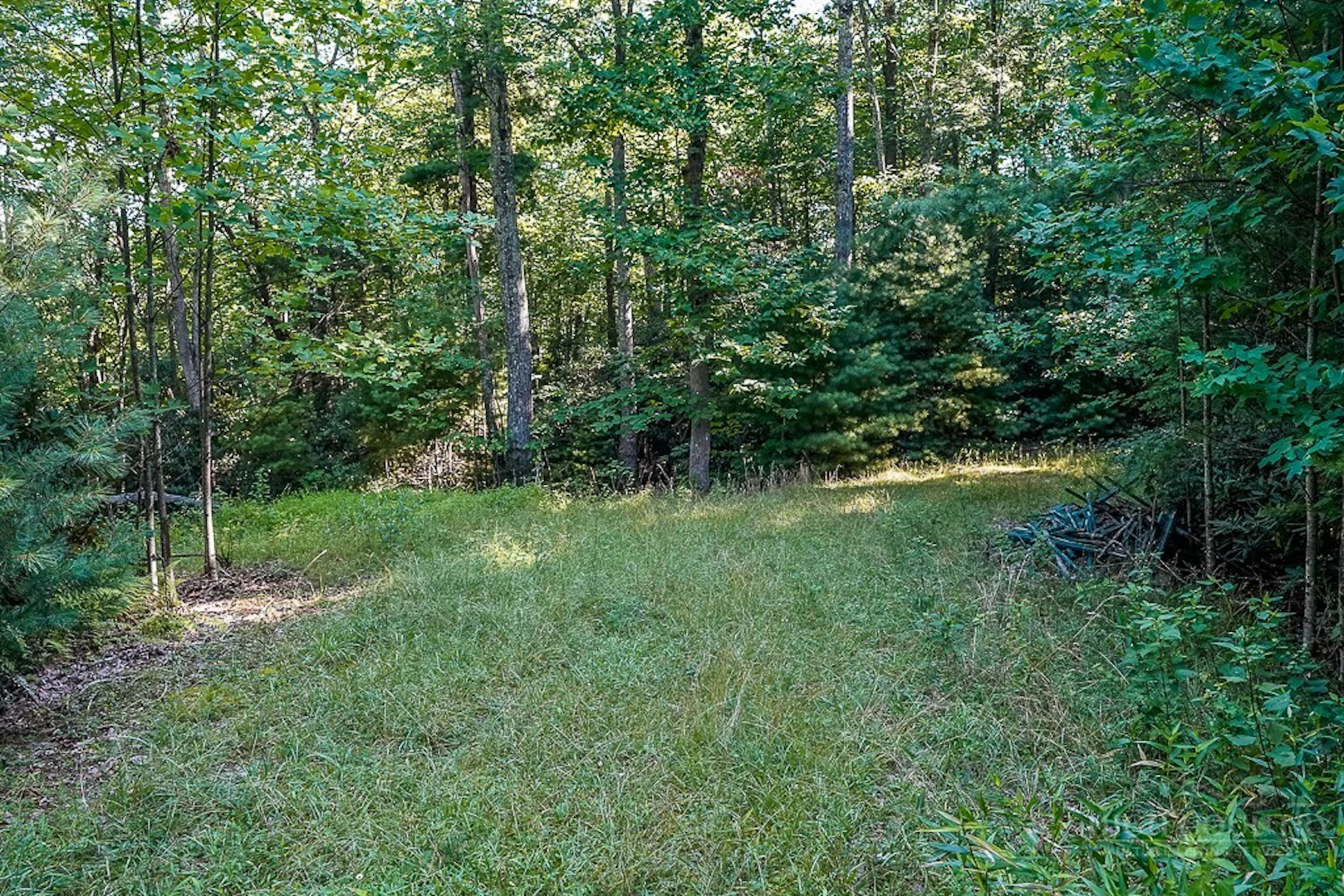 Image number 1 for the current listing