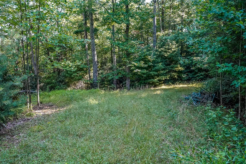 Image number 1 for the current listing
