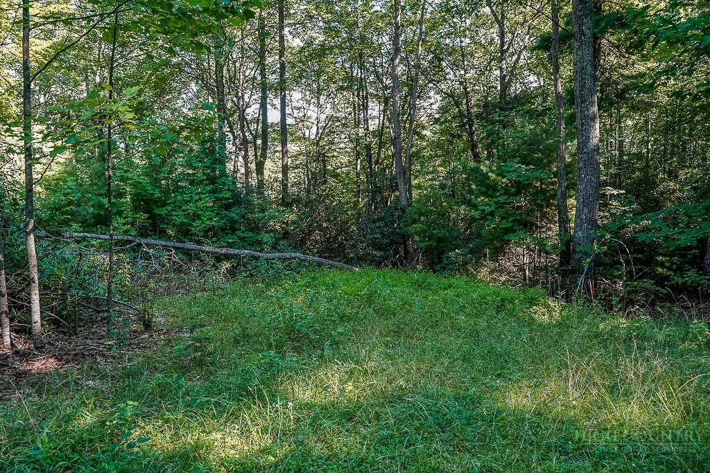 Image number 2 for the current listing