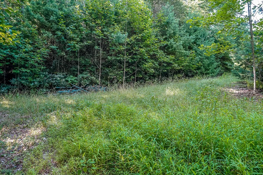 Image number 5 for the current listing