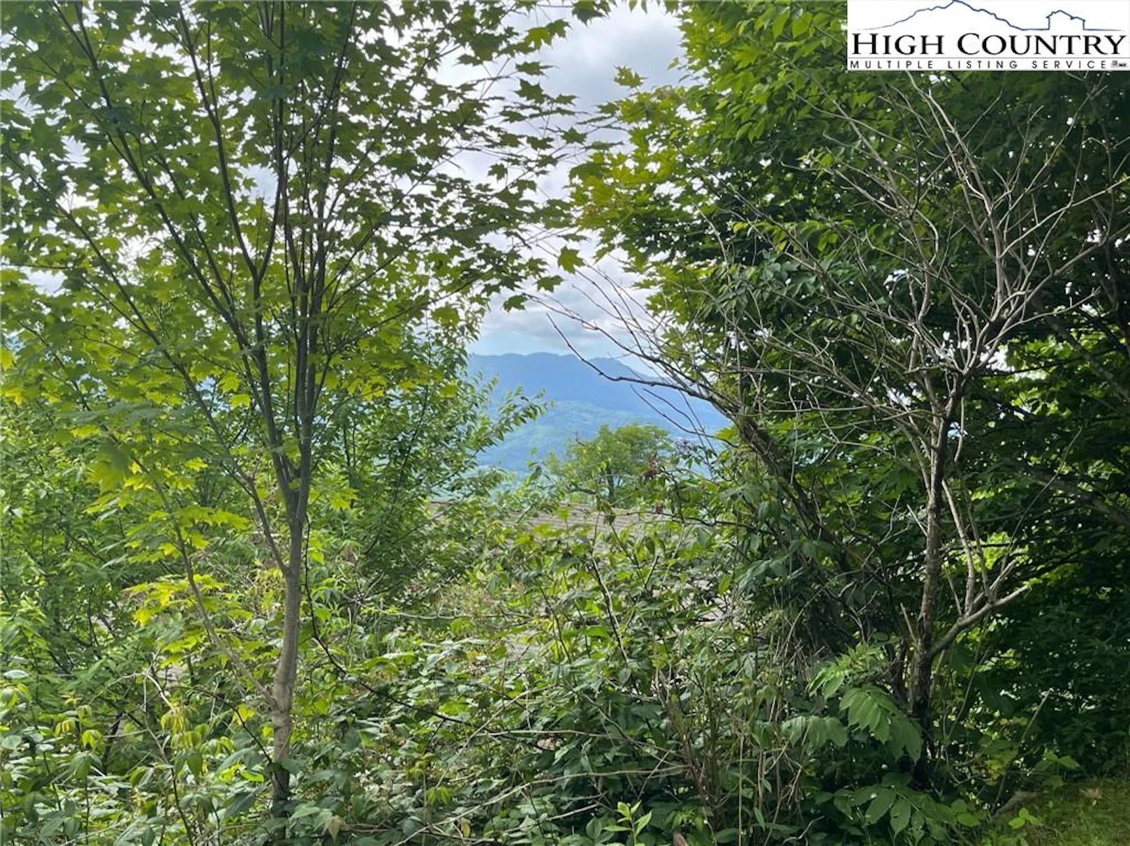 Image number 1 for the current listing