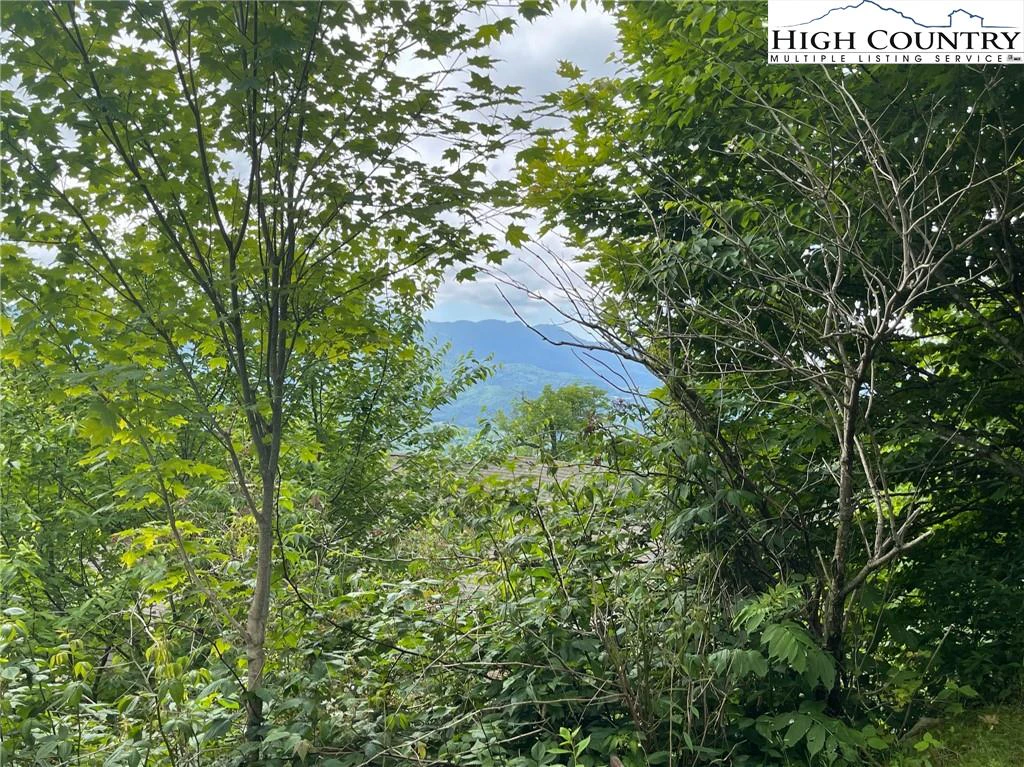 Image number 1 for the current listing