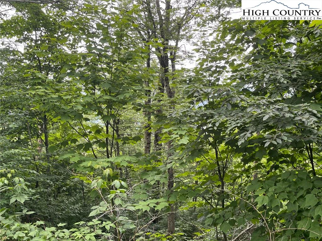 Image number 16 for the current listing