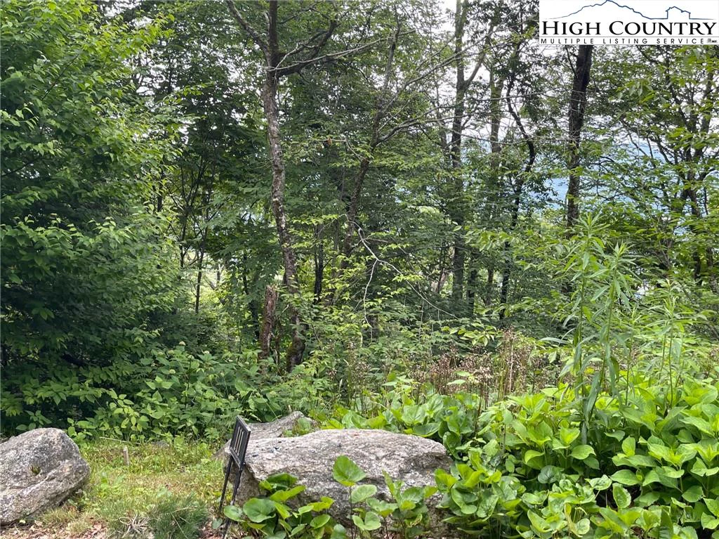 Image number 15 for the current listing