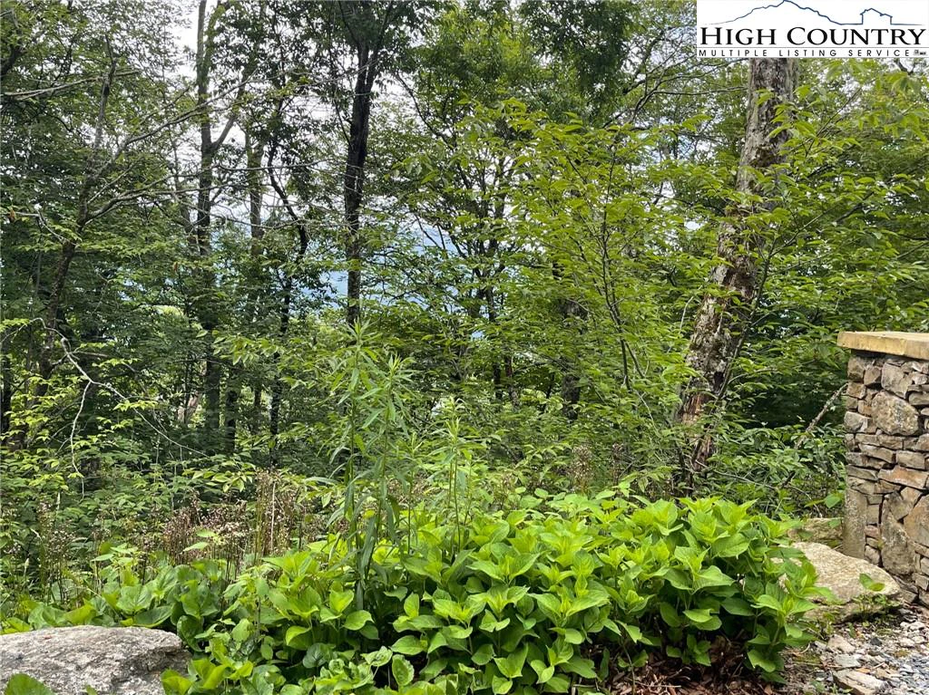 Image number 2 for the current listing